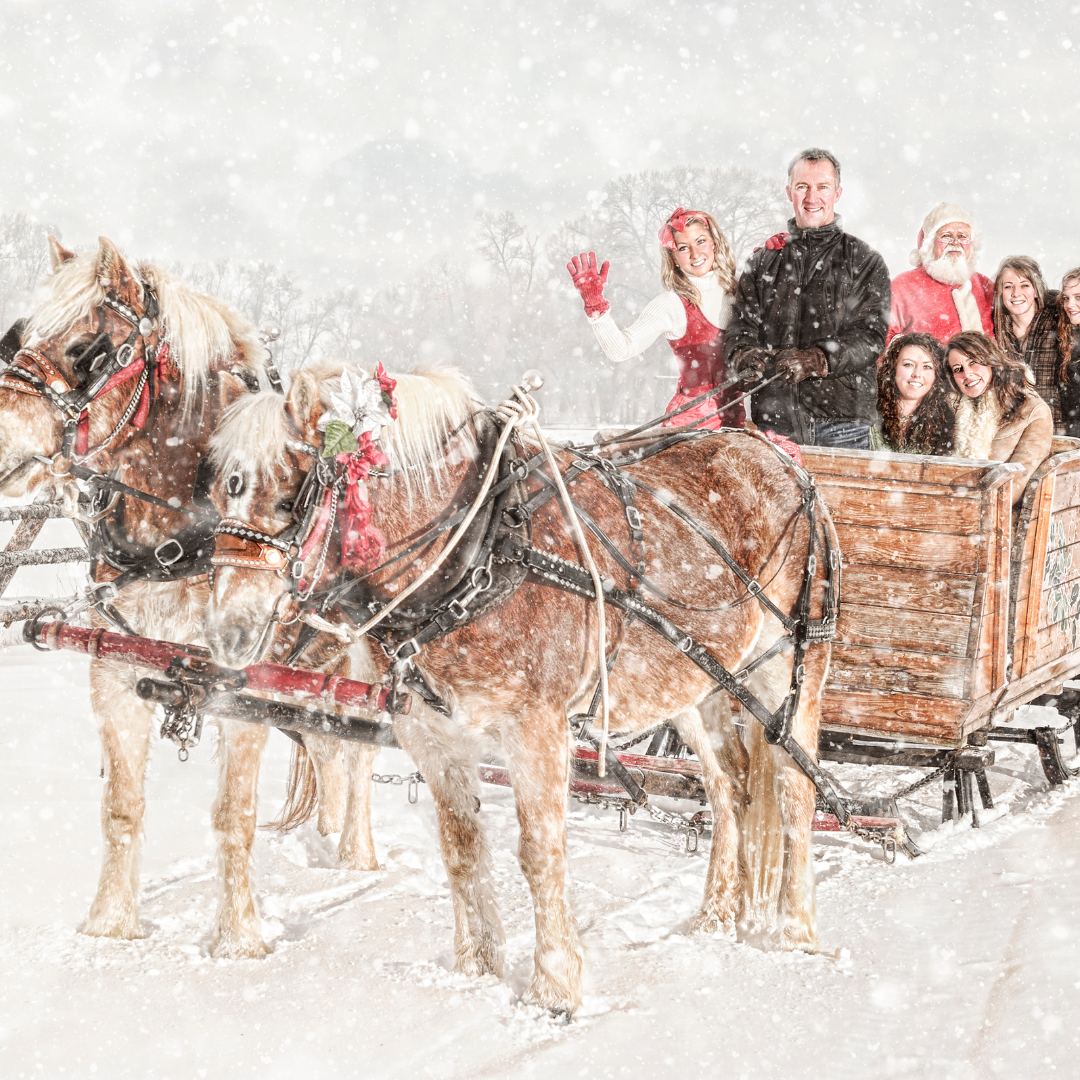 Kulig w Karpaczu - 240 zł/os. 