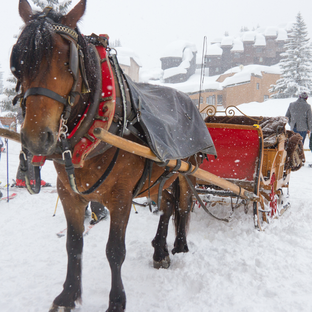 Kulig w Pstrągowej - 220 zł/os. 