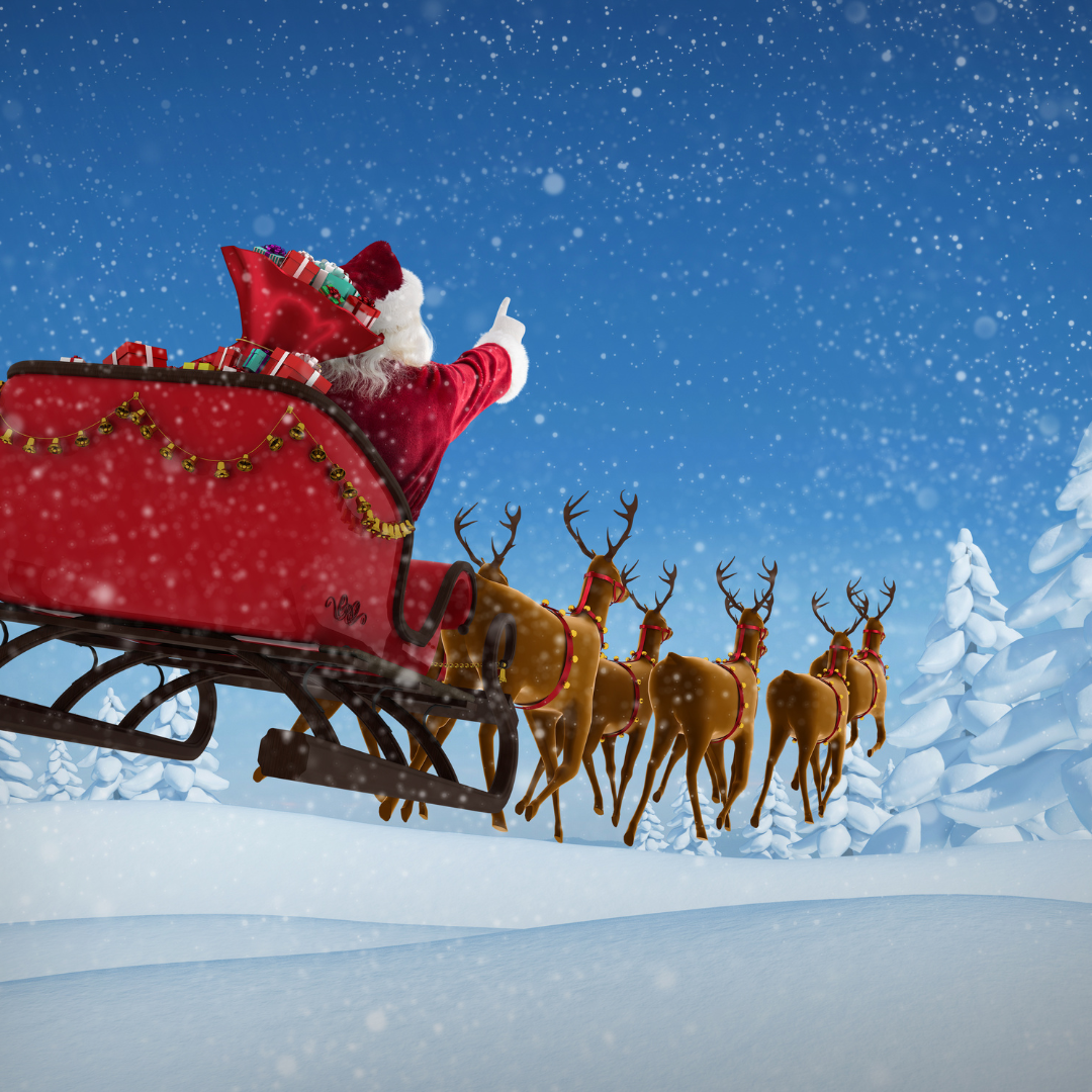 Kulig Bieszczady - 290 zł/os. 